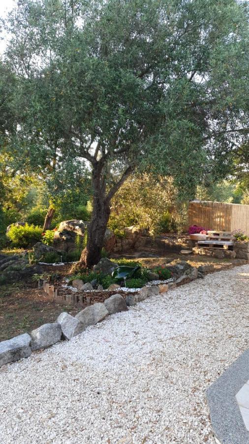 Casa Vacanze Olbia - Alebea - Exterior foto